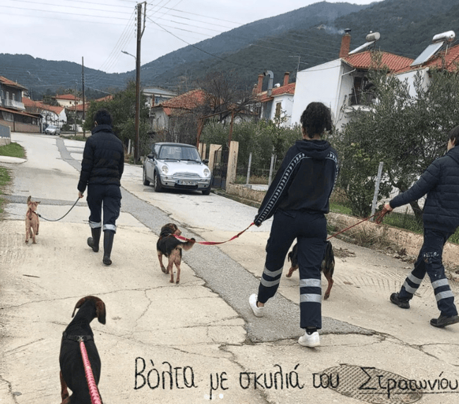 Screenshot 2025 03 05 164658