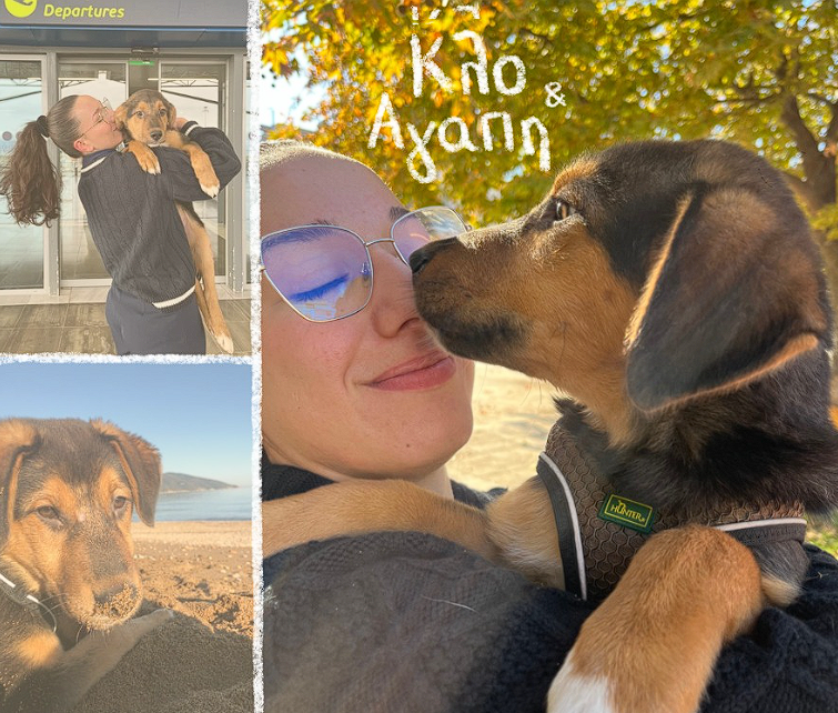 Screenshot 2025 03 05 164722